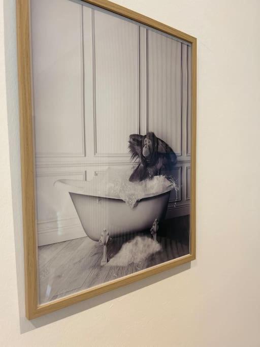 Le Nid Douillet Nanceien Apartment Nancy Bagian luar foto